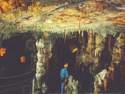 Grotta-di-Montevicoli-(LR-Vito-Manzari)